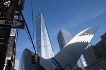 One World Trade Center by Sascha Mueller