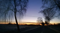 Winter Field Sunset 4 - Foggy Morning von Alexander von Wieding