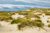 Landschaft mit Dünen auf der Insel Amrum by Rico Ködder