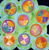 Mixed Colorful Colors in Circles  by Heidi  Capitaine