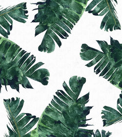 Banan-leaf-watercolor-inprnt