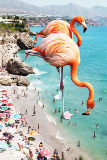 Flamingos on The Beach by Uma Gokhale