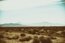 Mojave by Bastian  Kienitz