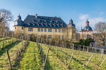 Schloss Vollrads im Rheingau 92 von Erhard Hess