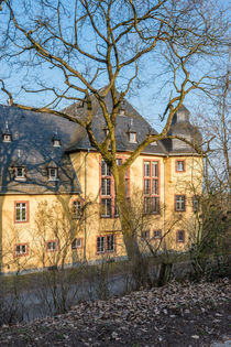 Schloss Vollrads im Rheingau 05 by Erhard Hess