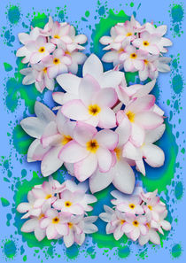 Plumeria Bouquet Exotic Summer Pattern von bluedarkart-lem