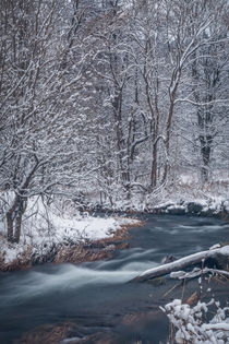 Flusslandschaft im Schnee by jazzlight