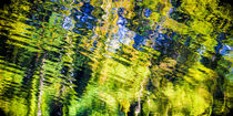 reflections, green von anando arnold