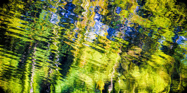 Reflections-green