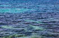 the blue sea von anando arnold