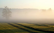 Nebel über den Feldern by Bruno Schmidiger