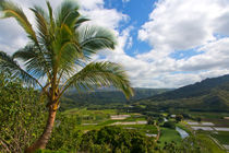 Kauai View von Sylvia Seibl