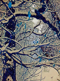 Branches and snow by Michael Naegele