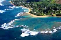 Hawaii View  by Sylvia Seibl