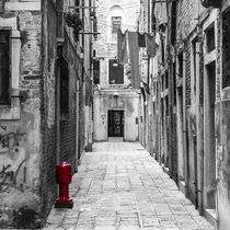 Venice Alley by Renato  van Ray