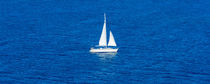 Sailboat on the Blue by Renato  van Ray