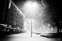snowfull by micha gruenberg