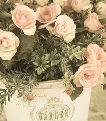 Vintage roses by Raquel Cáceres Melo