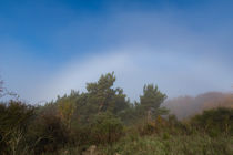 Zwischen Nebel und Sonnenschein by Ronald Nickel