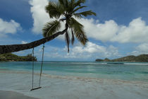 Swing on a coconut tree - Seychelles Islands von stephiii