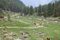 Südtirol by Heinz Seibl