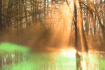 Sonnenlicht am Fluss by Bernhard Kaiser