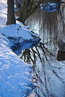 winterliche Flusslandschaft... von loewenherz-artwork