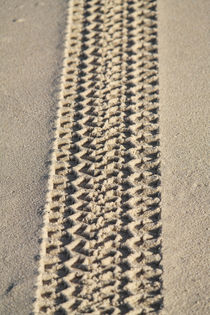 Tire tracks on the beach von stephiii