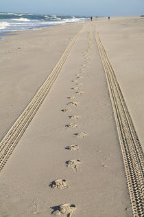 Spuren im Sand - Sylt von stephiii