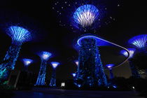 Gardens by the Bay in Singapore by night by stephiii