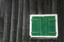 Old wooden house with green shutter by stephiii