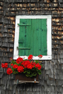 Old wooden house with green shutter andflowers von stephiii