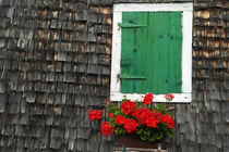 Grüner Fensterladen  mit Blumen an einem Holzhaus by stephiii