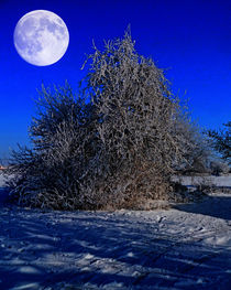 Snow and moon by Michael Naegele