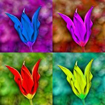 Pop Art Tulpenblüte von kattobello