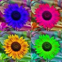 Pop Art Sonnenblume von kattobello