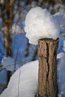 eine Mütze voll Schnee... von loewenherz-artwork
