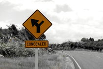 Road sign - New Zealand by stephiii