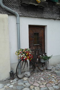 Old bike decorated with flowers in front of a house  by stephiii