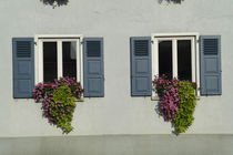 Zwei blaue Fensterläden mit Blumenkästen von stephiii