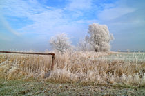 Frostige Winterlandschaft von ropo13