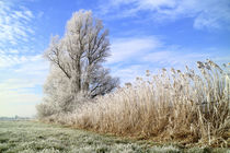 Frost in Ostfriesland by ropo13