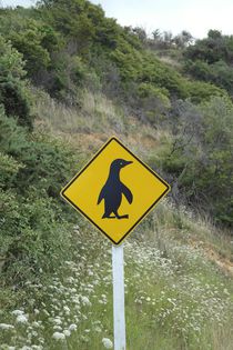 Pinguin road sign in New Zealand by stephiii