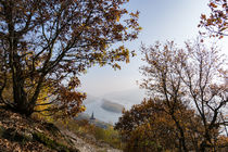 Herbstliche Nebel verklären noch das Rheintal von Ronald Nickel