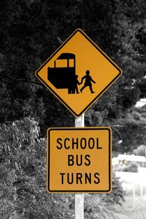 Road sign 'School Bus' in New Zealand by stephiii