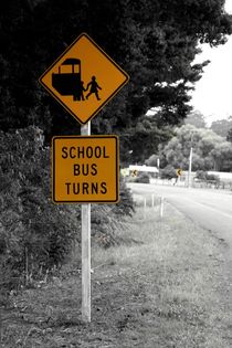 Road sign in New Zealand by stephiii