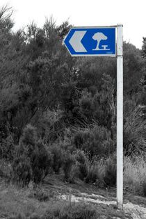 Picnic area road sign in New Zealand by stephiii