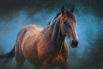 Das Pferd von AD DESIGN Photo + PhotoArt