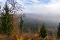 Nebel über der herbstlichen Wald-Landschaft by Ronald Nickel