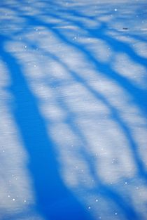 shadows in the snow... 4 by loewenherz-artwork
